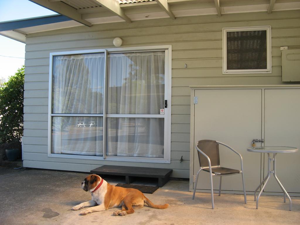 Tongariro River Motel Turangi Szoba fotó
